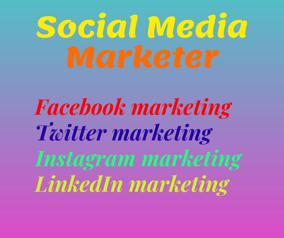 I will Professional Digital Marketer of modern social...
