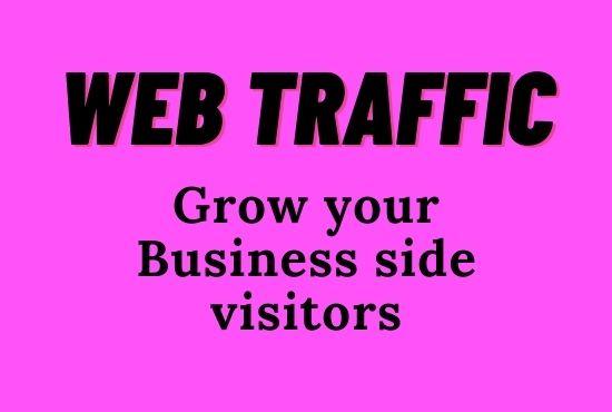 I will drive safe real organic visitors & organic...