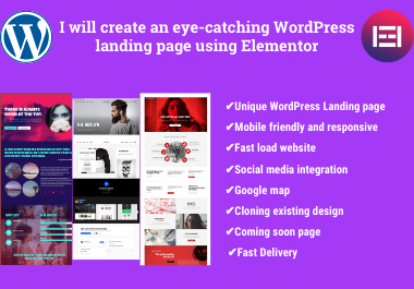 I will create an eye-catching Wordpress landing page ...