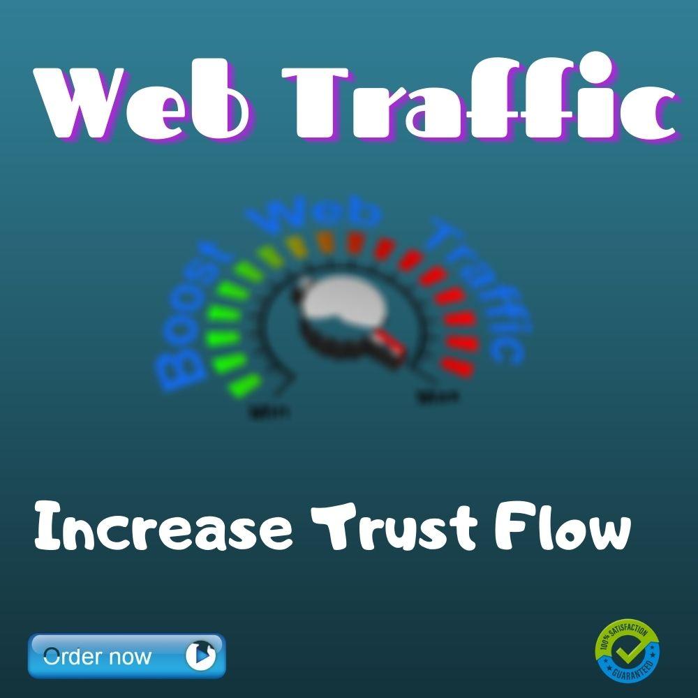 I will drive real organic web traffic