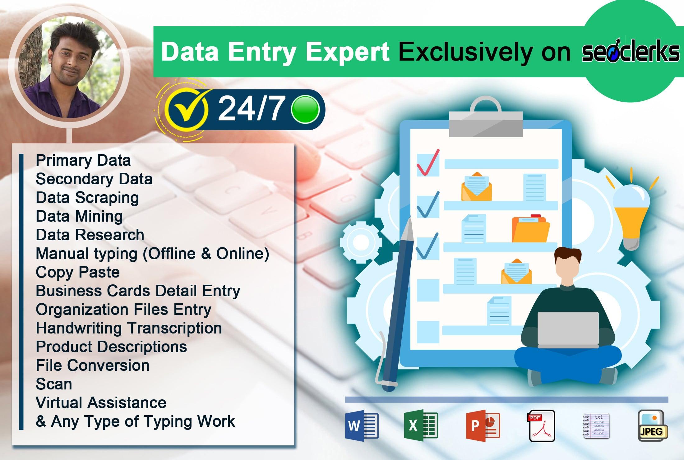 I will be your data entry expert for 5 hours daily