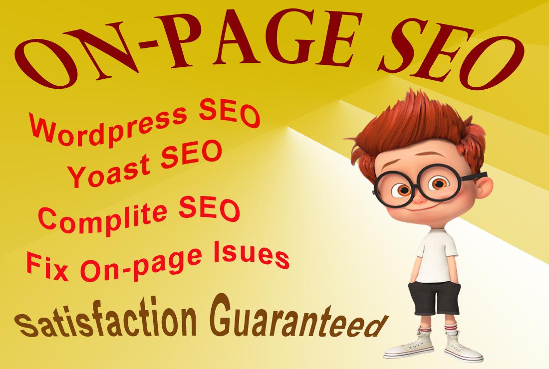 perfect onpage SEO fix and technical on page optimiza...