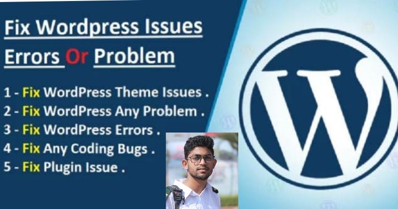 I will fix wordPress problems, issues, and bugs