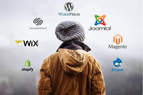 I will fix or Design Wordpress, Wix, Shopify Websit...