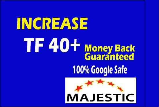 increase trust flow up to 30 with SEO white hat backl...