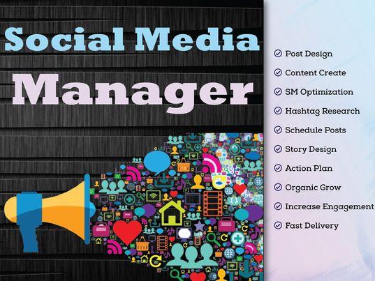 I will be Your Professional Social Media Manager and ...
