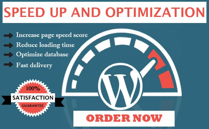 I will do WordPress website speed optimization and in...