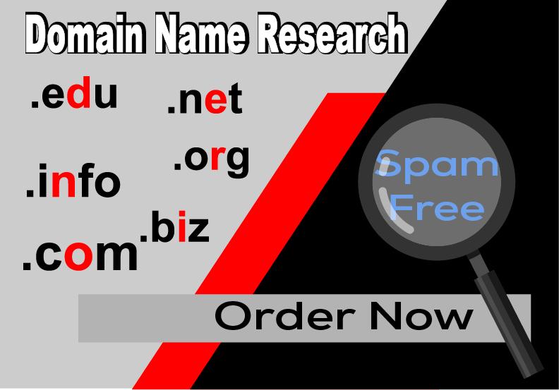 I'll research AttractiveDomainName based on your nich...