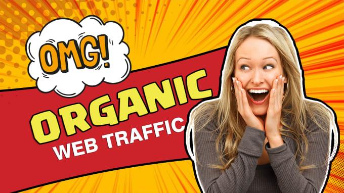 I will drive organic web traffic service