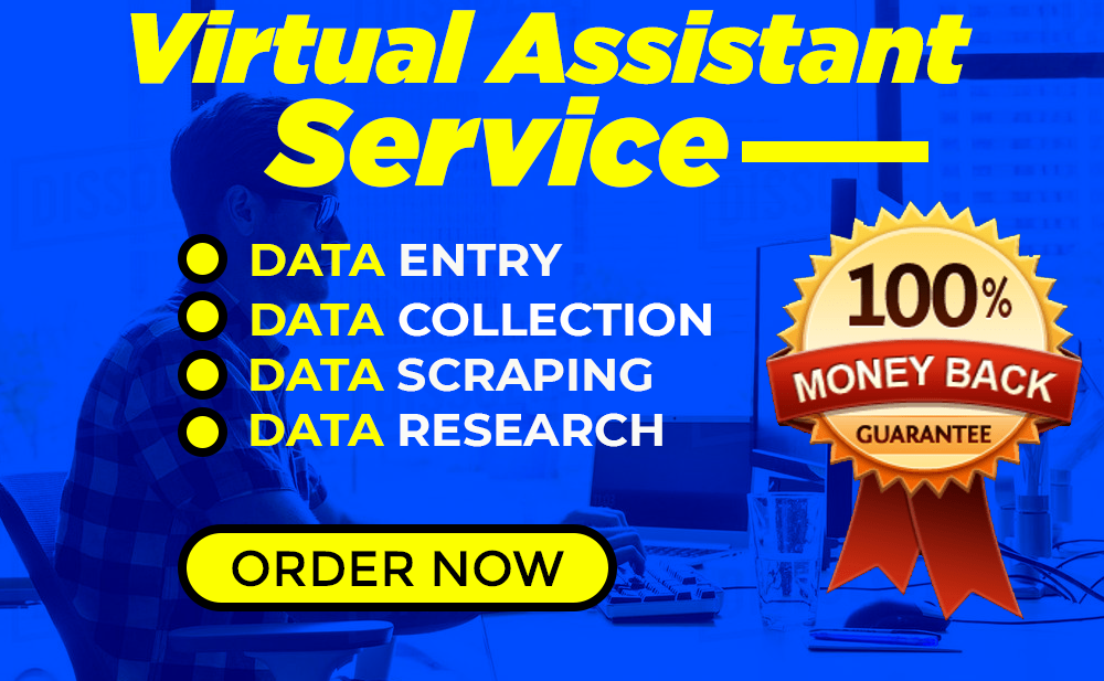 be your virtual assistant for data entry, web resear...