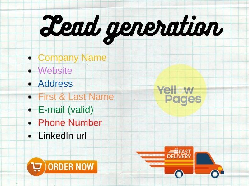 i will b2b 100 lead generation