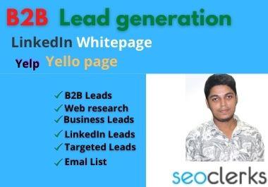 I will do b2b lead generation and web research for yo...