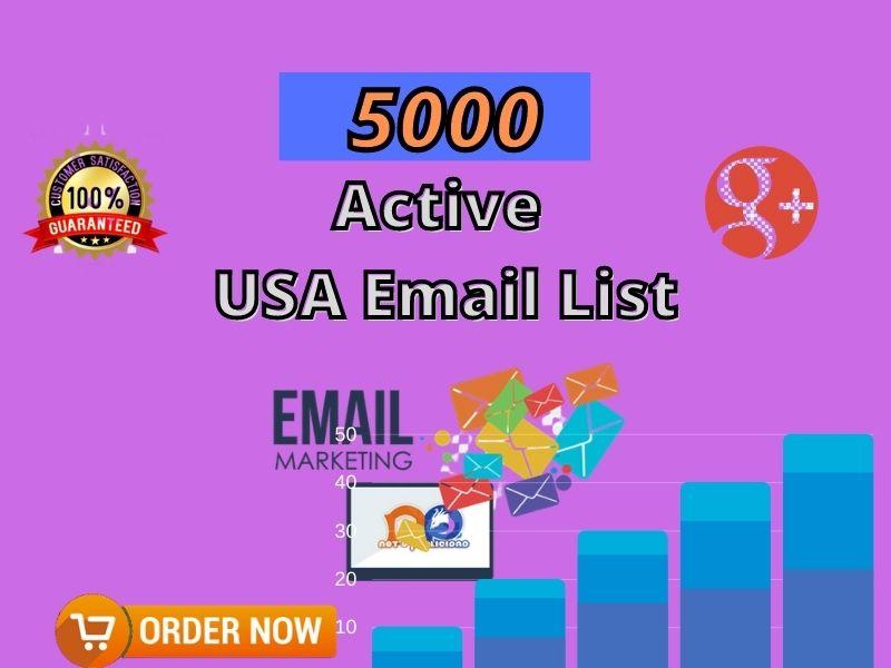 I will create and collection 5k niche targeted USA em...