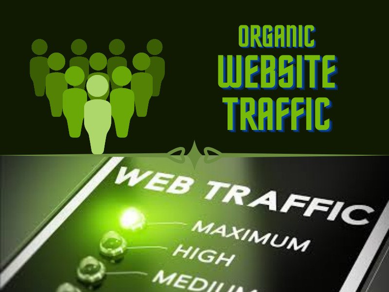 I will provide direct real targeted 500 web traffic v...