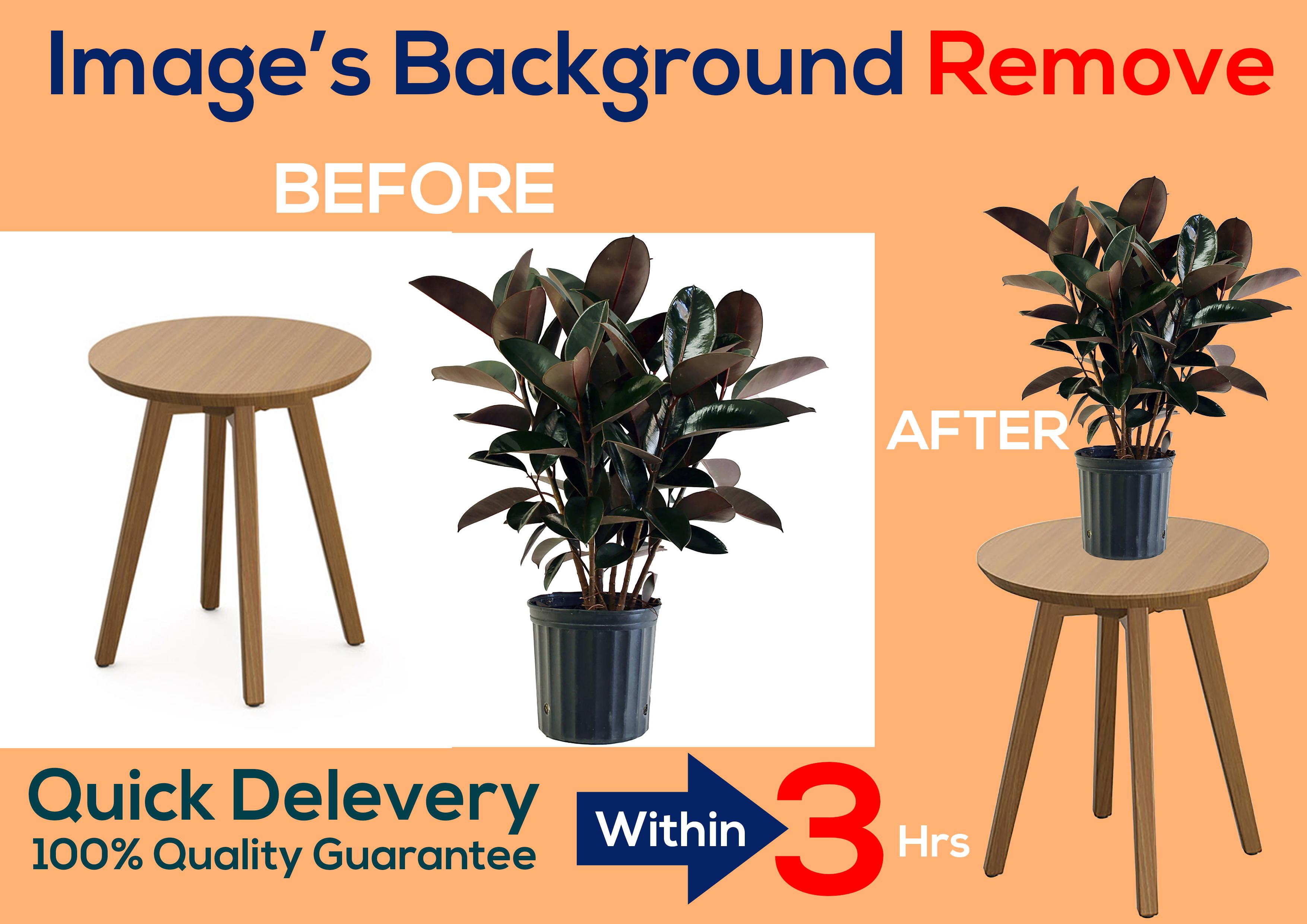 I will remove background from image professionally in...