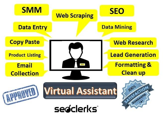 I will be your Personal and Administrative Virtual As...