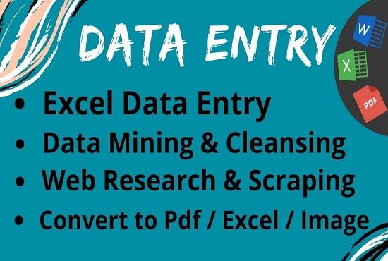 I will do excel data entry, copy paste tasks, typin...