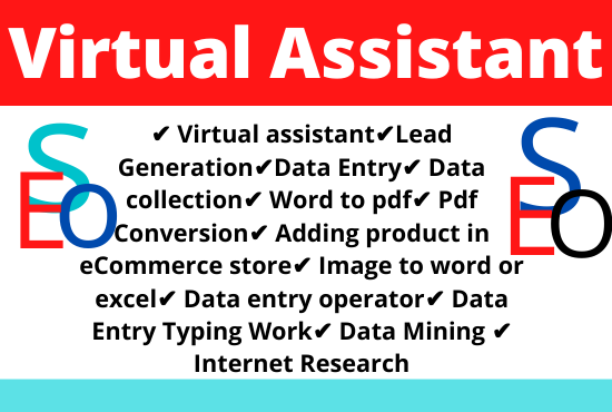 I will be Your Virtual Assistant For Data Entry And L...