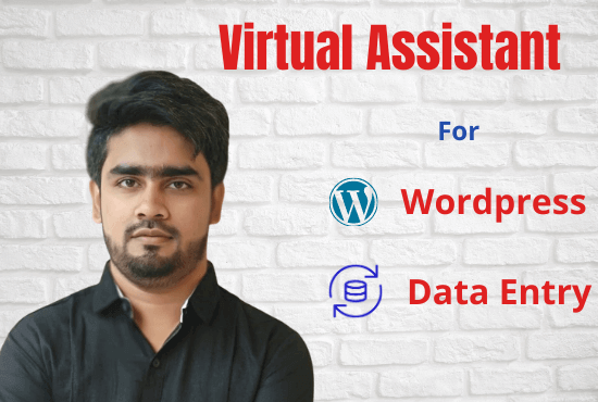 I will be your professional WordPress virtual assista...