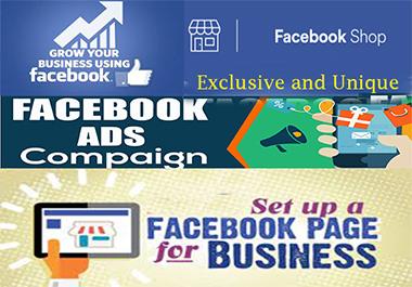 I will create and setup an impressive Facebook page o...