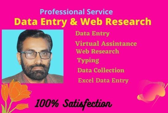 I will do excel data entry, copy paste, data mining a...