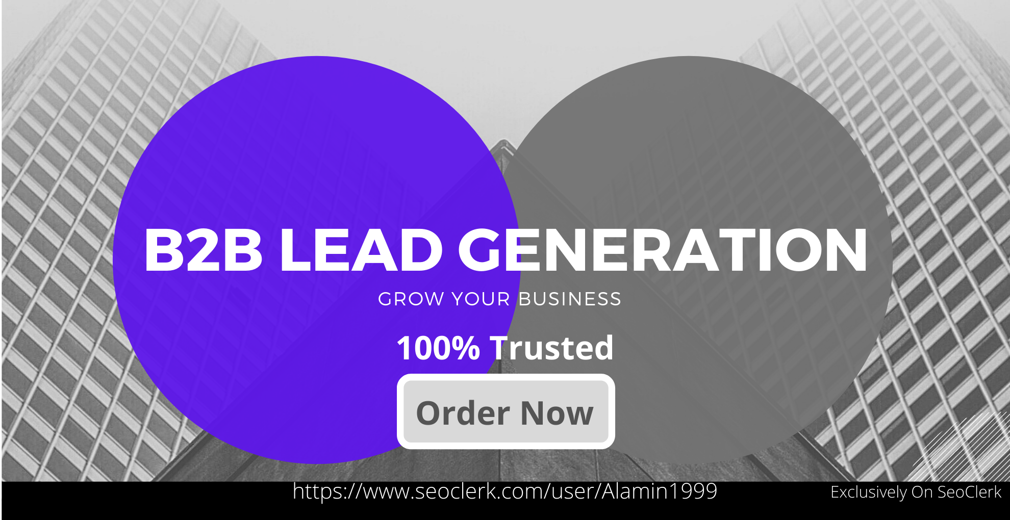 I will do B2B Lead Generation and data entry processi...