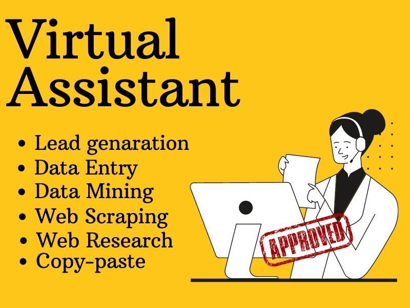 I will be your personal professional VIRTUAL ASSISTAN...