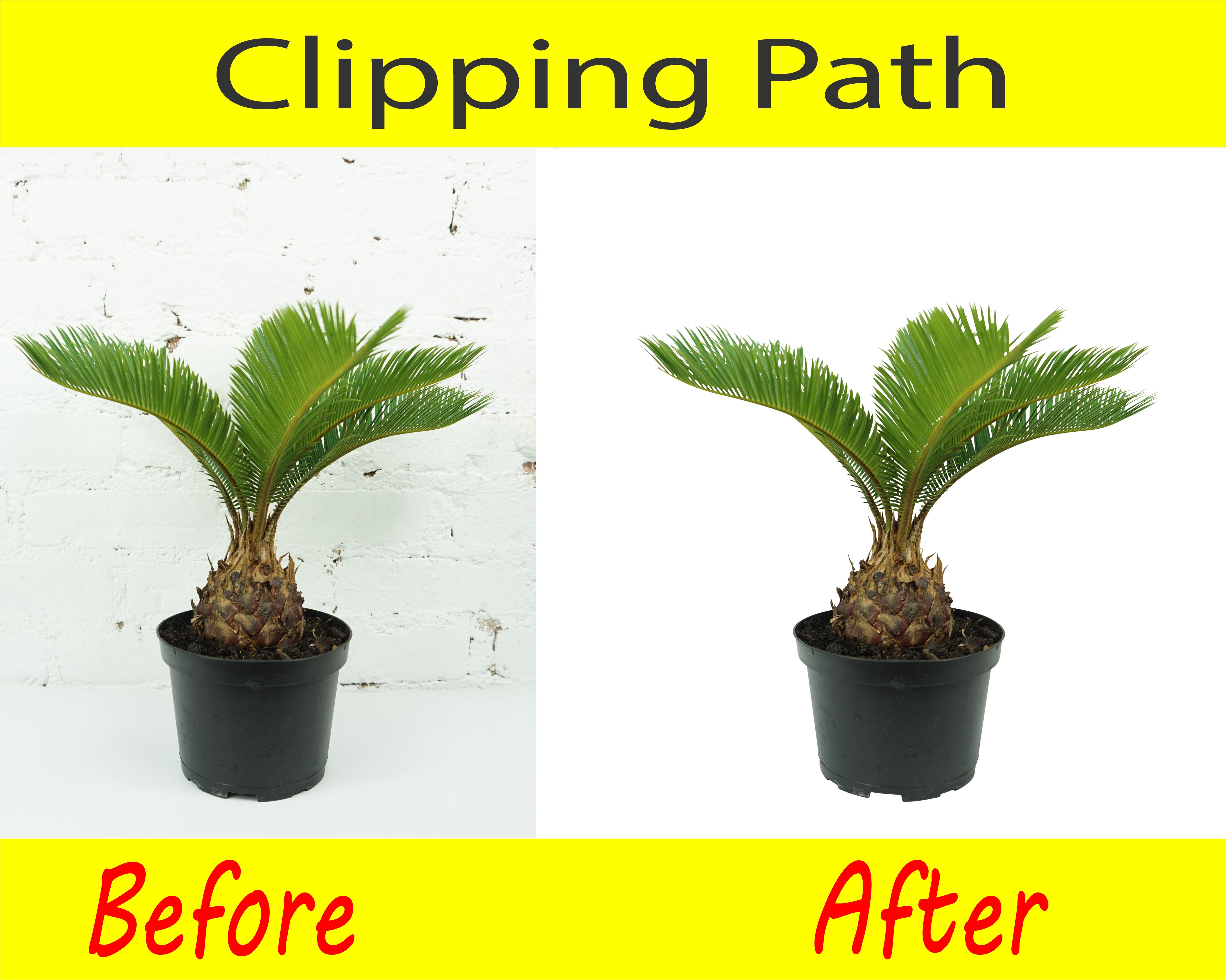 I will background removal photo editing