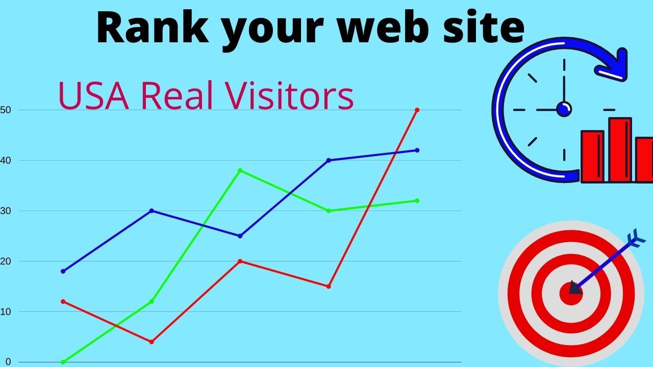 i will drive 10000 real USA web traffic for your web ...