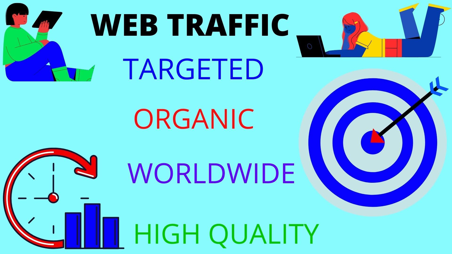 i will drive 15000 real world wild web traffic for yo...