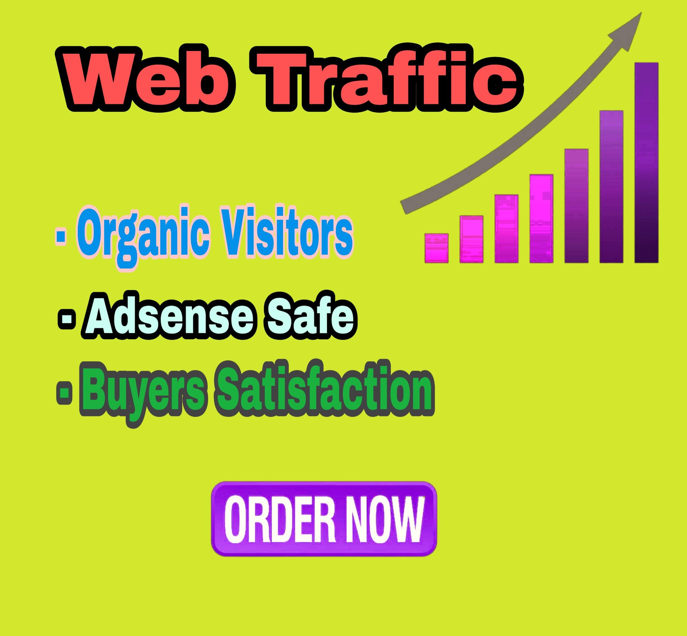 I can drive 1000 organic web traffic with low bounce ...