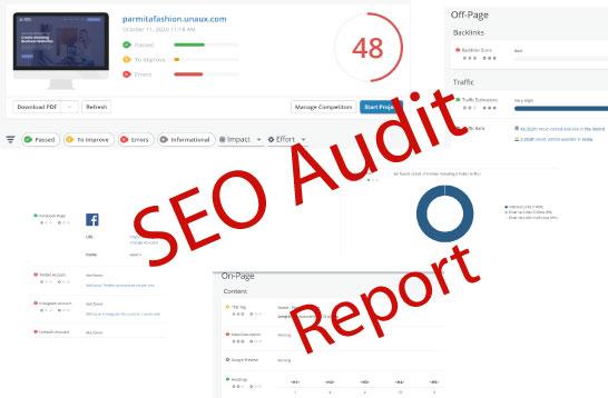 I will provide a complete website SEO audit report an...