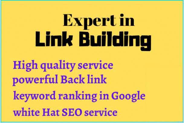 I will do powerful quality back link, link building ...