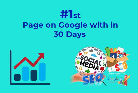 I Will provide Guaranteed Google 1st page ranking SEO...