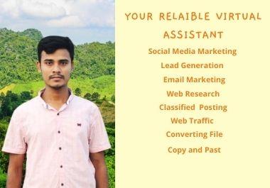 I will be your reliable virtual assistant all kind of...