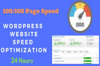 I will do wordpress speed optimization and improve pa...