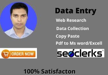 I can do any kind of data entry, copy paste, web re...