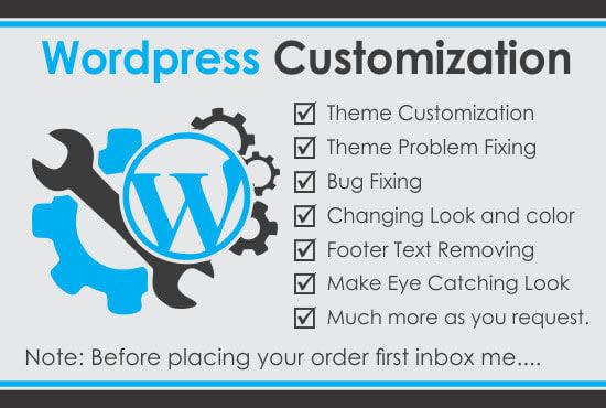I will do wordpress website customization or wordpres...