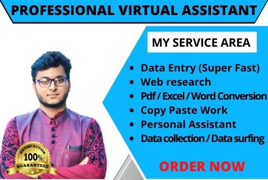 I will be your Professional & Expert virtual assi...
