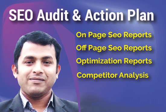 I will make an excellent SEO audit report and competi...