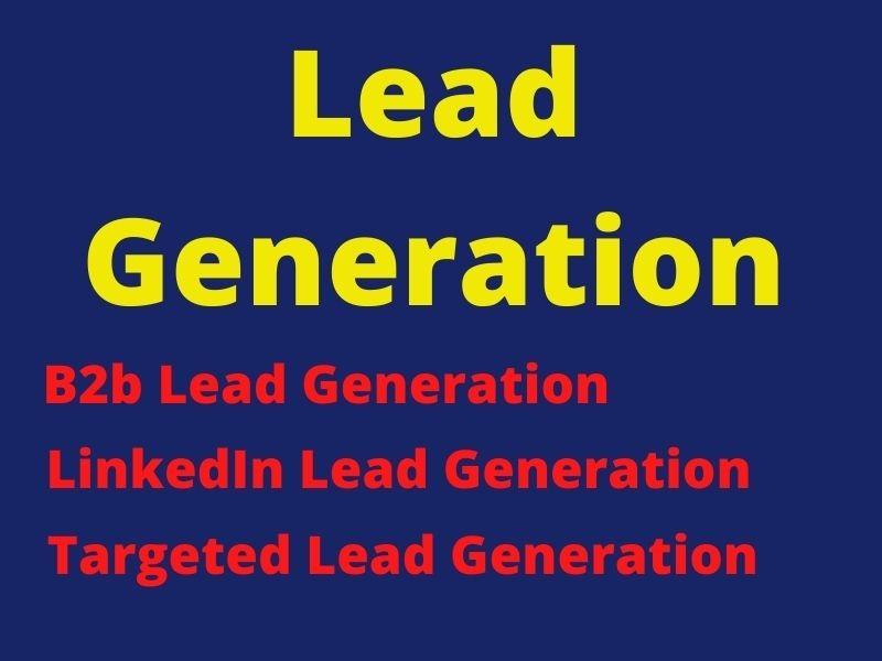 I will provide targeted lead generation services for ...