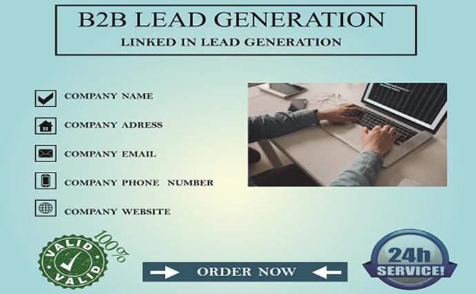 I will do b2b lead generation, business leads and em...