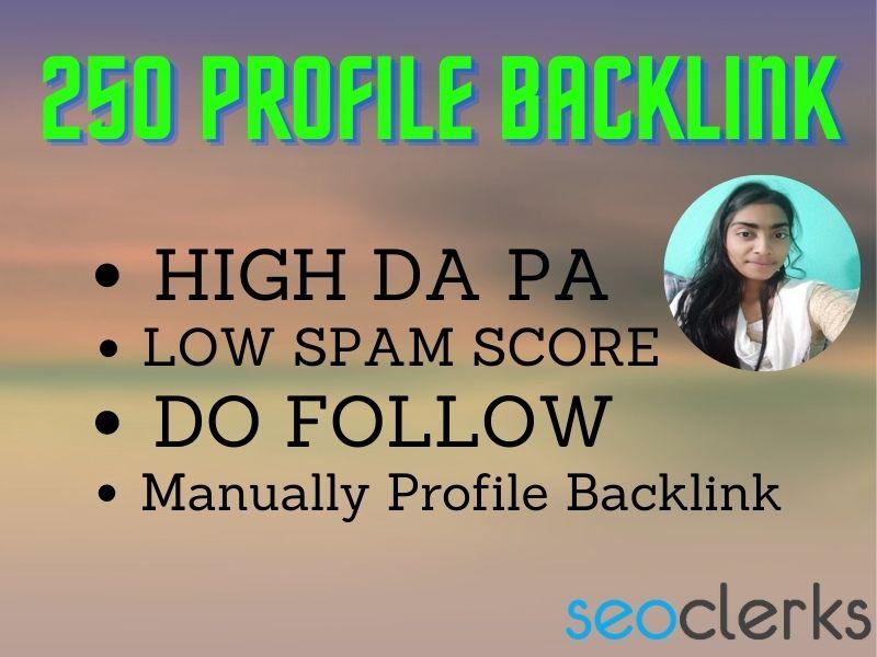 I will build 250 high authority profile backlinks