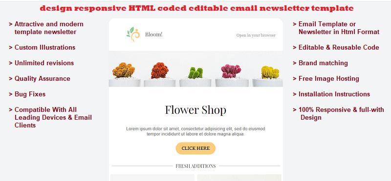 I will design responsive HTML coded editable email te...