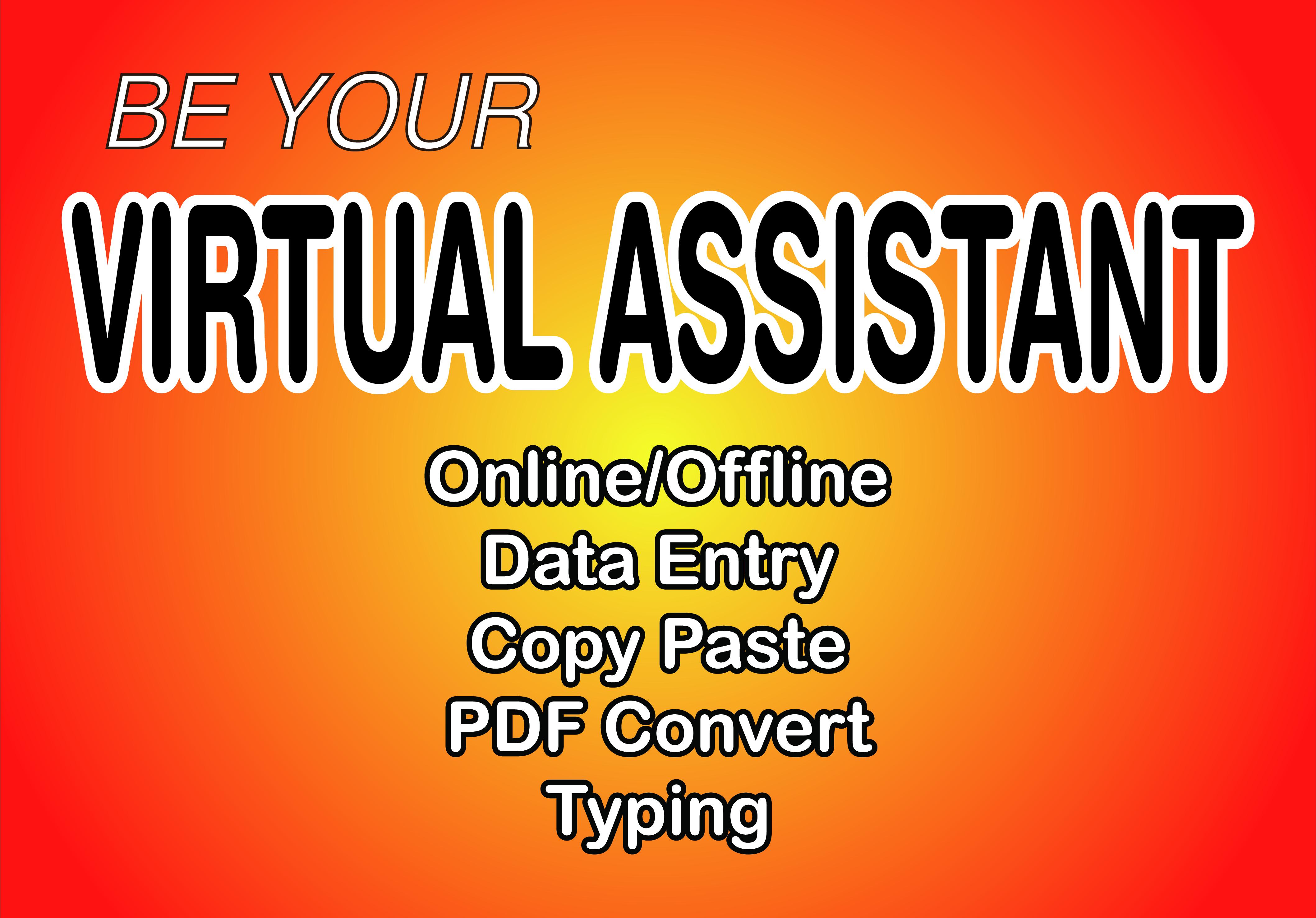 I will be your virtual assistant for data entry and c...