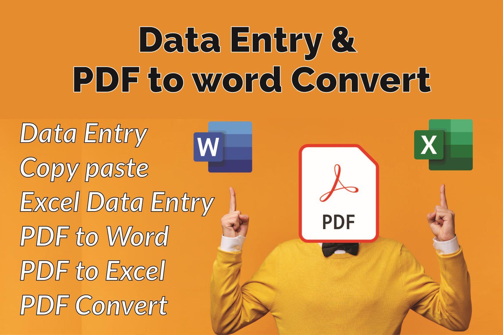 I will do Data Entry, Copy Paste, PDF to any conver...