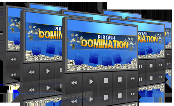 PLR Cash Domination - Learn To Build Your Own PLR Pro...