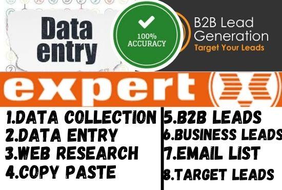 I will do data entry, web research copy paste excel ...