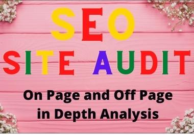 I will provide expert SEO audit reports, competitor ...