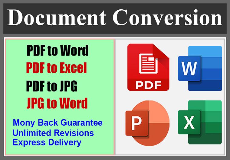 I will file conversion PDF to excel or PDF word profe...